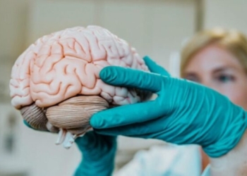 Ekspertja e Harvardit tregon vitaminën më të mirë për trurin