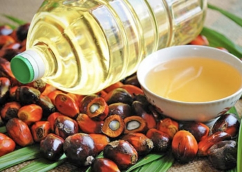 Vaji i palmës – Çfarë i shkakton organizmit