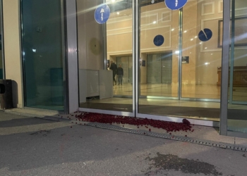 PSD aksion simbolik para Qeverisë “Një grusht qershi për Kryeministrin”