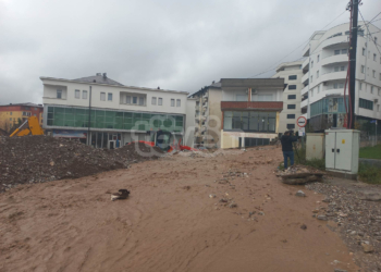 Zemaj kërkon nga Qeveria ti ndihmojë komunat në përballje me vërshimet
