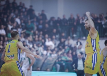 Ylli i revanshohet “keq” Prishtinës në kryeqytet