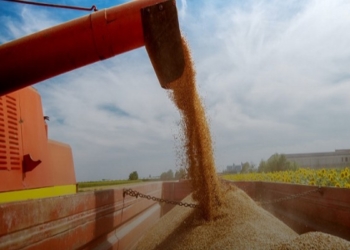 BE i kërkon Rusisë të anulojë vendimin e saj për grurin
