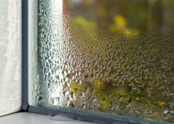 Këto janë sëmundjet që ju shkakton lagështira në shtëpi