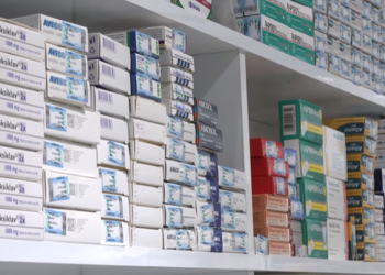 Kurti: Fëmijët dhe vendi ynë meritojnë më shumë