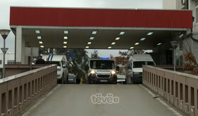Deputetët e Kosovës hynë në Kuvendin e Shqipërisë