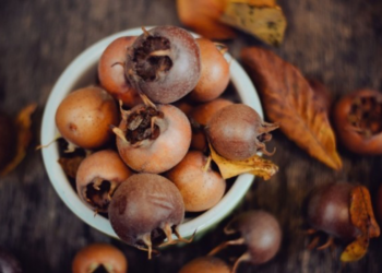 Ja pse duhet t’a konsumoni mushmollën