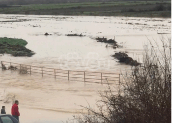 Edhe Vushtrria përmbytet nga vërshimet