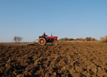 Kërkohet mbështetje për prodhuesit vendorë, Balija: Ky sektor përballet me sfida të ndryshme