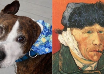 Qeni i quajtur Van Gogh krijon art me gjuhën e tij