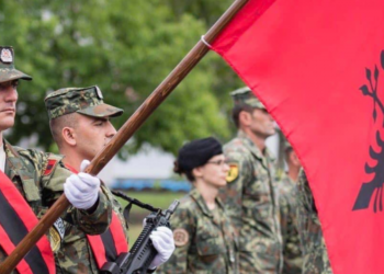 NATO uron Shqipërinë në 110 vjetorin e pavarësisë