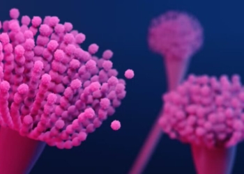 Infeksionet e reja që mund të kërcënojnë shëndetin publik – OBSH jep paralajmërimin