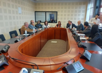 Kollçaku pas rrahjes së të moshuarës: Licencat të rishikohen, kemi shumë punë në edukim