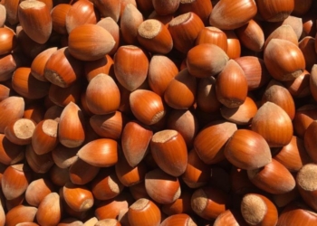 4 arsye të rëndësishme përse duhet t’i konsumoni rregullisht lajthitë