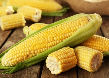 Misri – Vlerat dhe kushtet e kultivimit