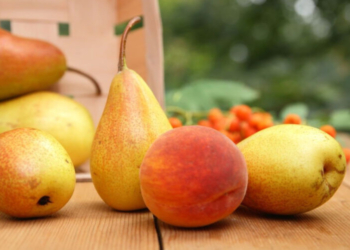 Mëngjeset për shëndetin e veshkave