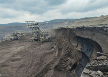 Kosova fle në thëngjill, por importon nga jashtë