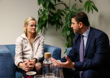 Krasniqi thotë se heqja e vizave duhet të bëhet shpejtë e pa kushte shtesë