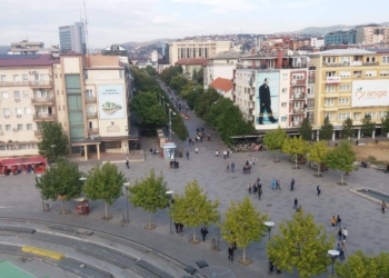 D+ gjen keqpërdorime nga shumë institucione në marrëveshjet për shërbime të veçanta