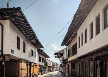 Qeni kafshon një grua në Gjakovë, arrestohet pronari i tij