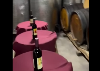 Sekuestrohen 42 mijë litra alkool