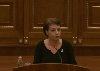 Gërvalla për provokimet serbe: Shtetet e BE-së nuk duan konflikte