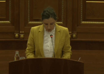 Rizvanolli paraqet në Kuvend strategjinë e energjisë për vitin 2022-2031