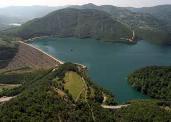 Policia jep detaje për gjuajtjet me armë në Ujman