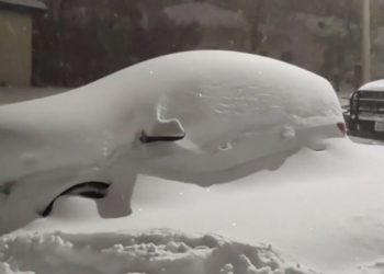 Të paktën tre të vdekur nga stuhia e fuqishme dimërore në ShBA