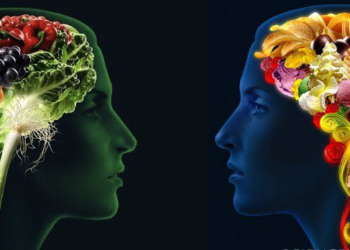 A e dini cili është fruti më i mirë për shëndetin e trurit?