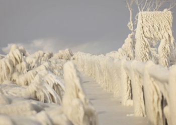 Mbi 50 të vdekur nga të ftohtit në SHBA dhe Kanada