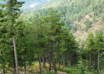 Dita Ndërkombëtare e Maleve