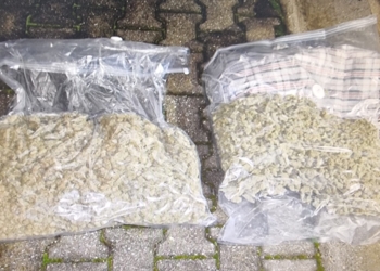 Policia e Kosovës arreston një shtetas të Shqipërisë, i sekuestron mbi 3kg marihuanë