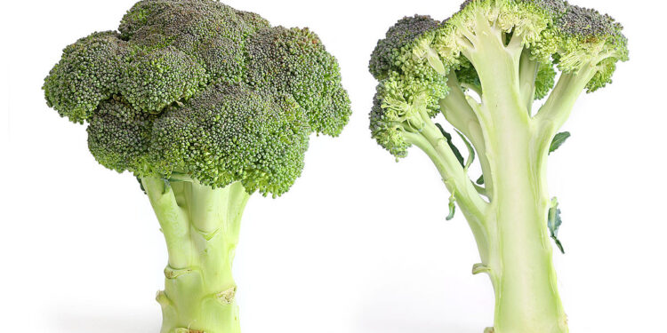 Brokoli, një perime ideale kundër diabetit