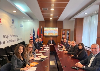 LDK-ja e gatshme për seancën në të cilën pritet të votohet Projektligji për Trustin