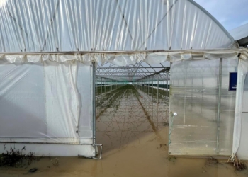 Përmbytje në Rahovec