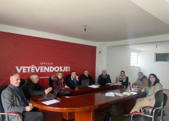 VV në Viti pretendon se iu sulmuan fizikisht dhe ofenduan rëndë asamblistët