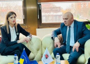 Haxhiu në Gjakovë: Kemi rritje të rasteve të dhunës në familje