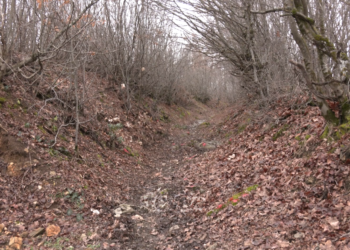 Detaje rrëqethëse se në çfarë gjendje ishin gjetur të masakruarit në Reçak