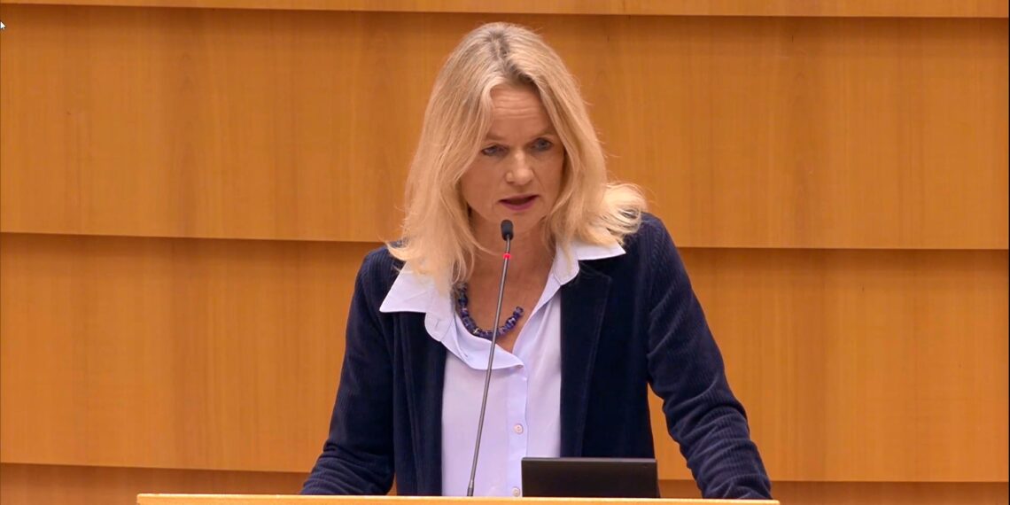 Von Cramon ia dorëzon Parlamentit Evropian draft-raportin për Kosovën