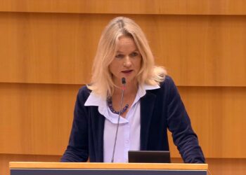 Von Cramon ia dorëzon Parlamentit Evropian draft-raportin për Kosovën