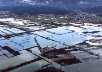 Shqipëri: Mbi 1.700 hektarë tokë e përmbytur, një rrugë e bllokuar nga orteqet
