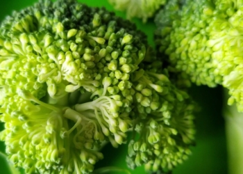 Vitamina që i duhet trupit për një sistem imunitar të shëndetshëm