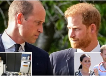 Princi Harry pohon se William e sulmoi fizikisht gjatë një zënke lidhur me Meghan
