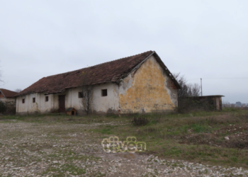 Pesticidet e skaduara, rrezik për tokën