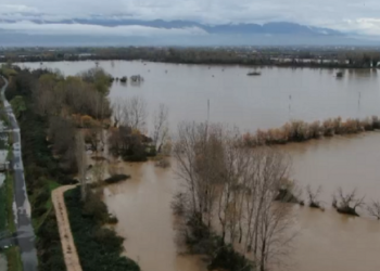 Përmbytje në Shkodër, 1400 hektarë tokë dhe 15 shtëpi në ujë