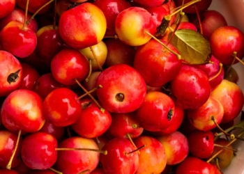 Të mirat e panjohura të mollëve të egra