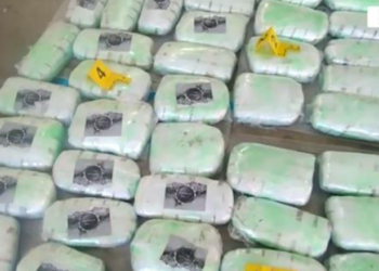 Me 70 kg kanabis në veturë, arrestohet në Morinë 48-vjeçari rumun