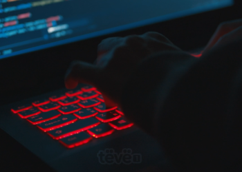 892 raste të krimeve kibernetike, për 11 muaj