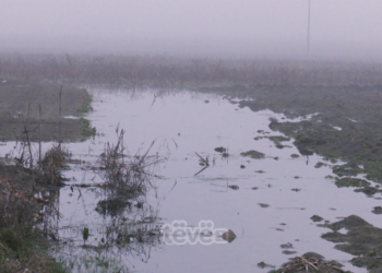 326 fermerë në Rahovec nuk janë kompensuar për dëmet nga vërshimet e vitit të kaluar