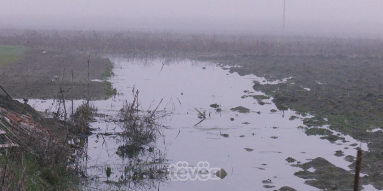 326 fermerë në Rahovec nuk janë kompensuar për dëmet nga vërshimet e vitit të kaluar